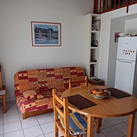 6 Pers Climatisee Avec Terrasse Et Parking Prive - V0270
