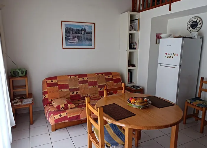 6 Pers Climatisee Avec Terrasse Et Parking Prive - V0270